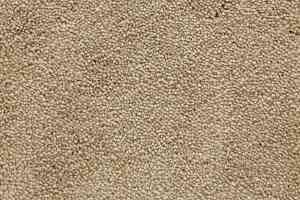 Ковролин Radici Lord Beige 126A фото  | FLOORDEALER